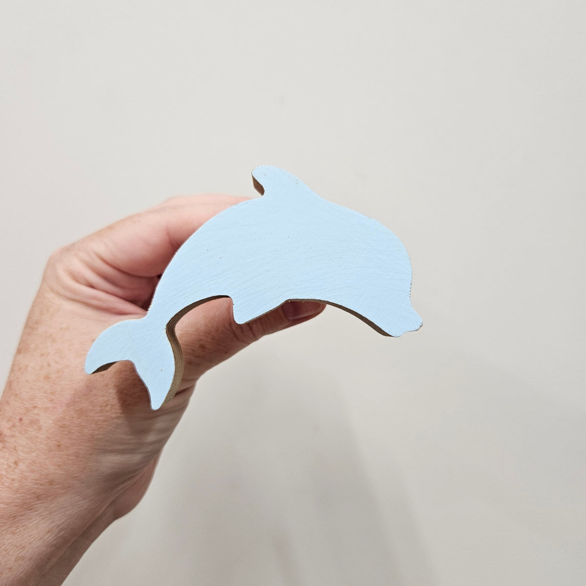 Dolphin Wall Hook - Polar