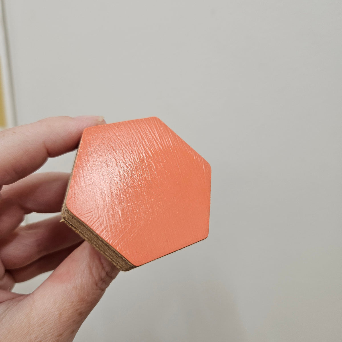 Hexagon Wall Hook - Chilli Coral