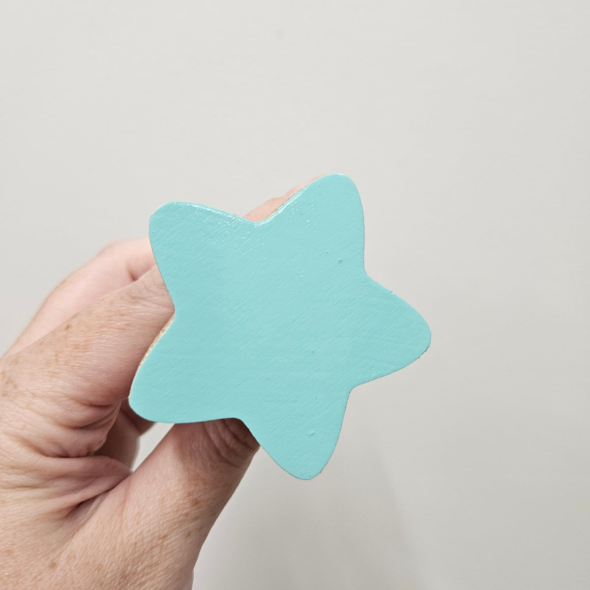 Star Wall Hook - Minty