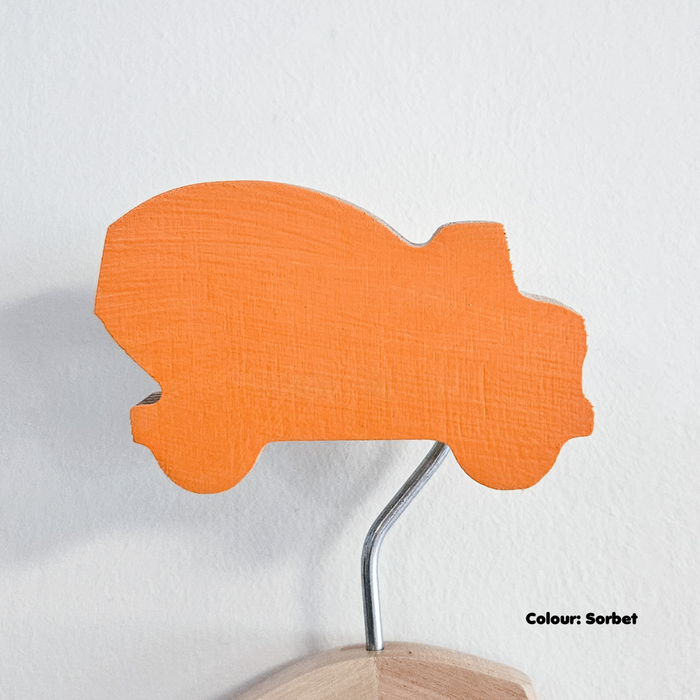 Transport Wall Hooks