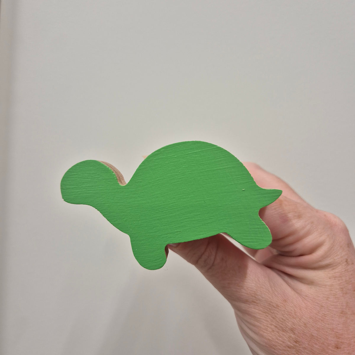 Turtle Wall Hook - Groovy Green