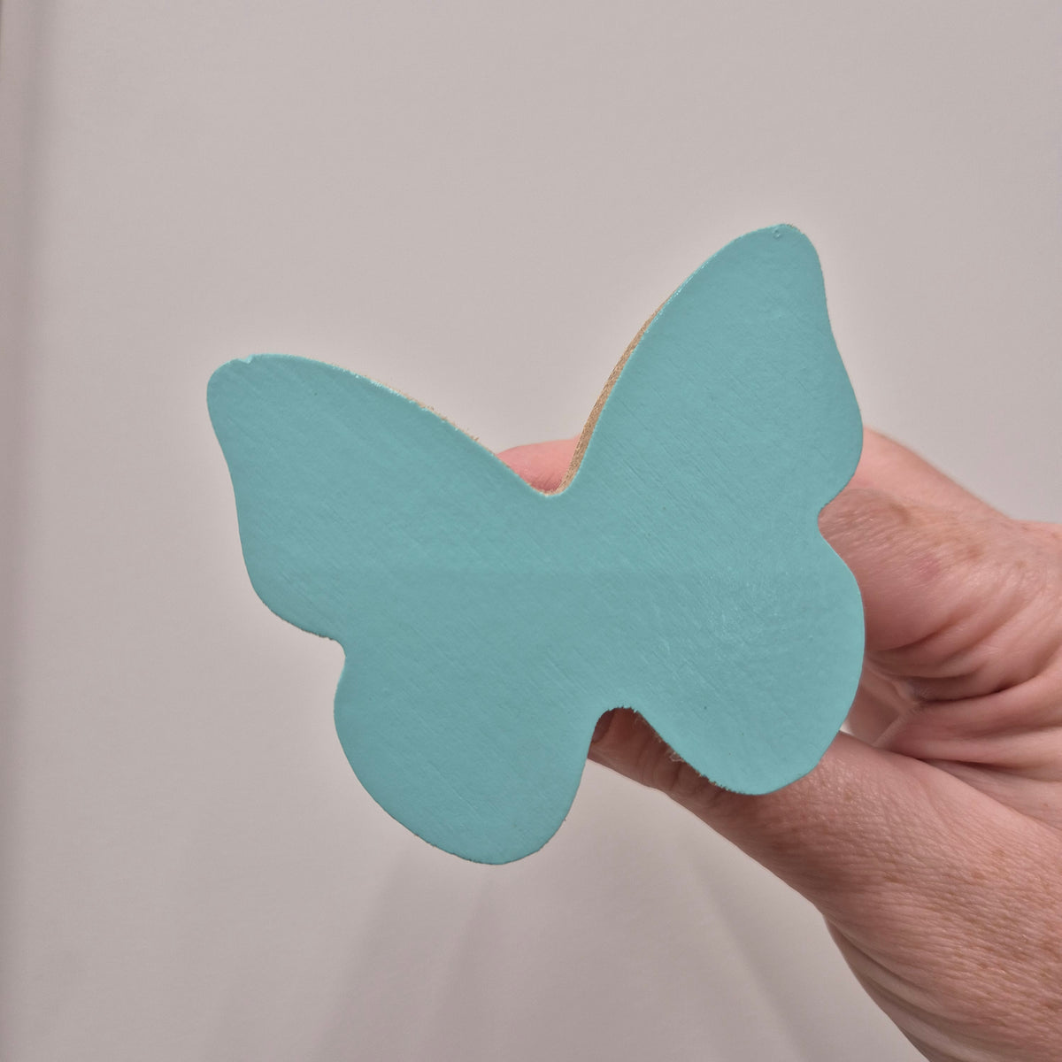 Butterfly -  Minty